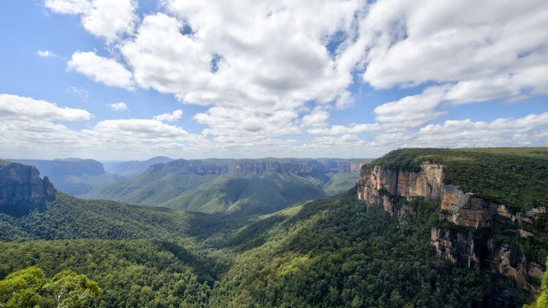 Forested ridges and valleys in the Blue Mountains