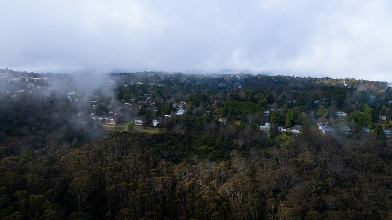 Mist over rooftops and trees in Leura